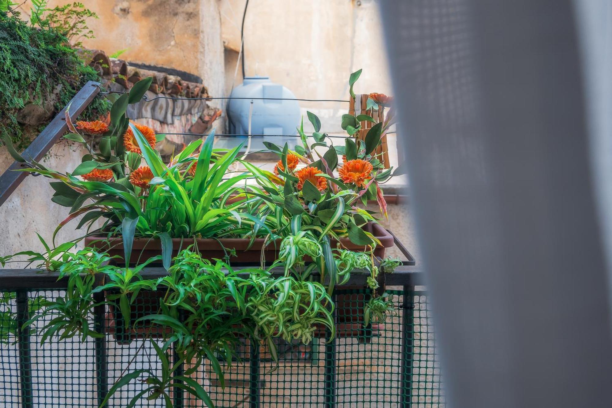 Casa Marina Apartment - Palermo — Photos 2